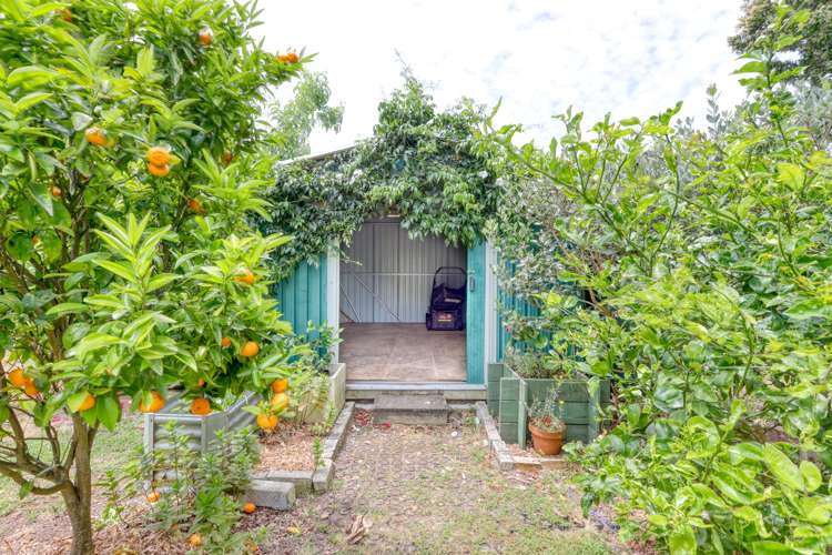 9 Herons Lane Mangawhai_11