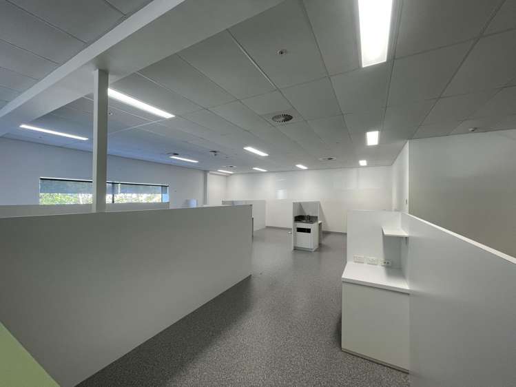 3 Akoranga Drive Northcote_7