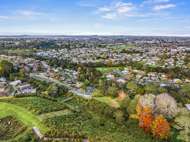 75 and 75a Birdwood Road Swanson_4