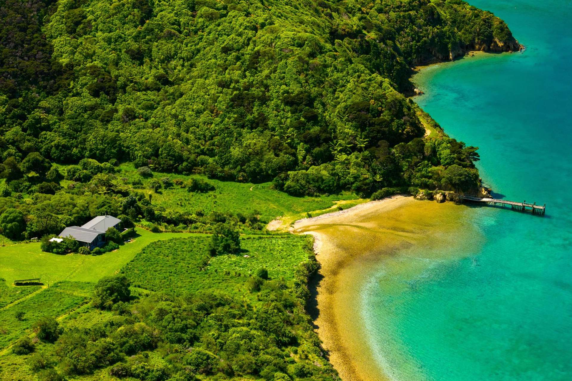 - Umukuri Bay Queen Charlotte Sound_0