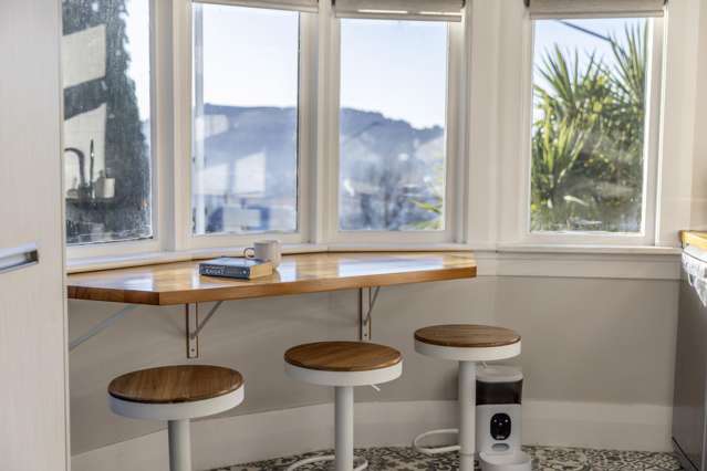 375 Rattray Street Dunedin Central_2