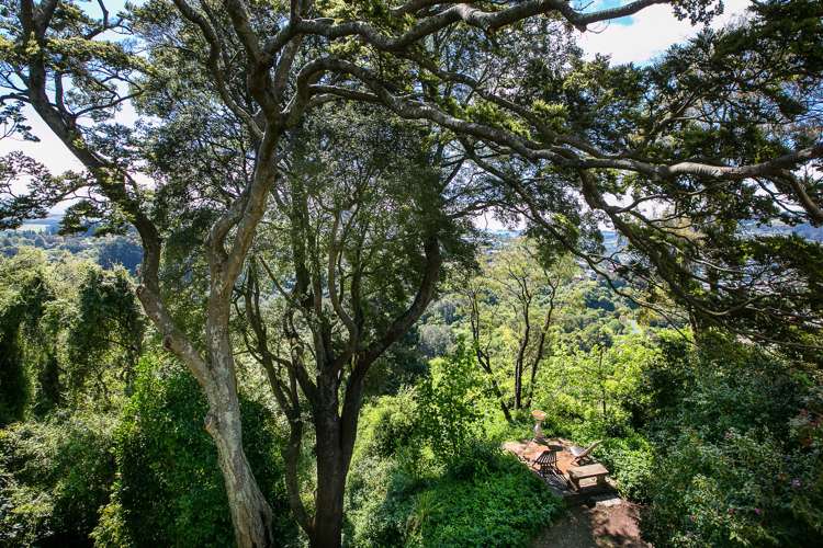 30 Stonelaw Terrace Maori Hill_25