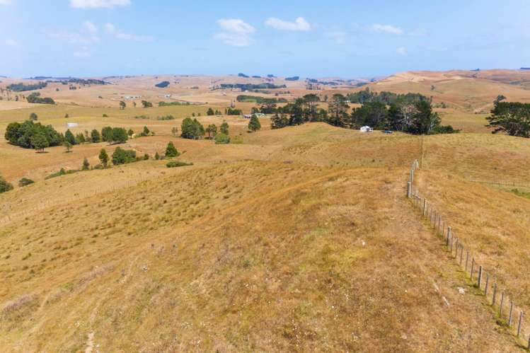 1149 Waikaretu Valley Road Waikaretu_12