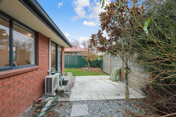 63d Howick Road Redwoodtown_15