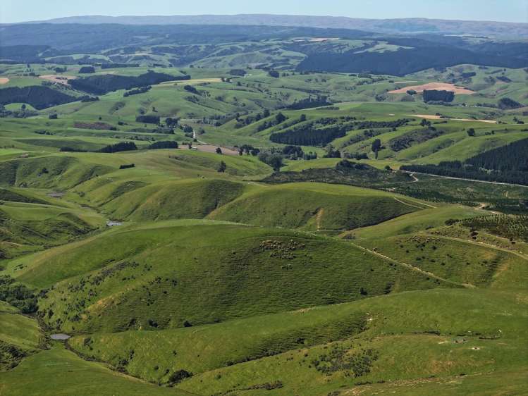 1916 Manuka Gorge Road Waitahuna Gully_5