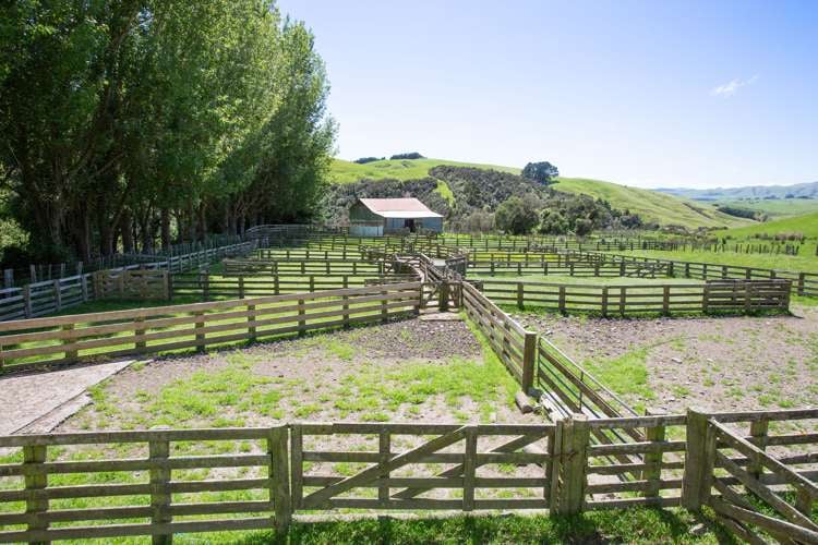 1921 Weber Road Dannevirke_40
