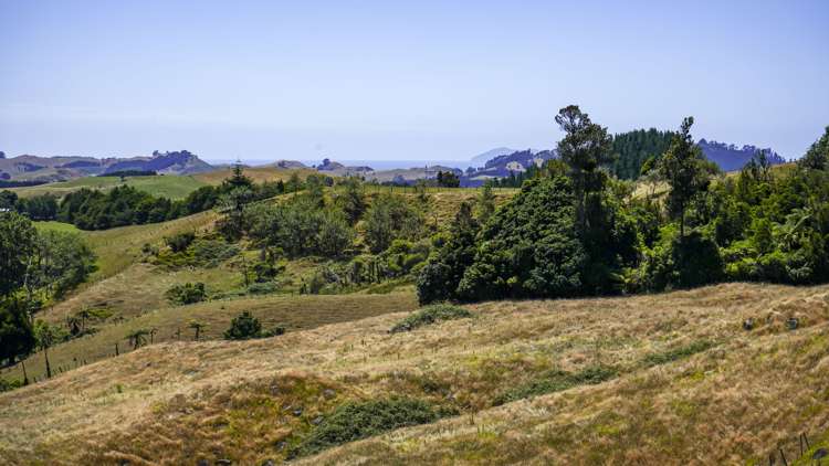 43b Walls Road Waihi_9