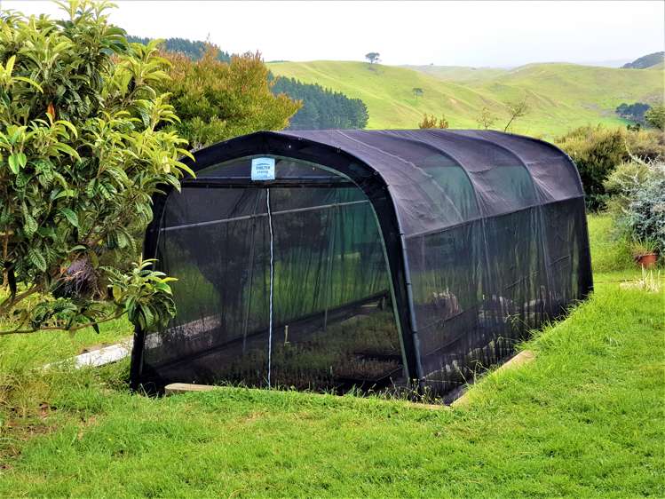 1246 Babylon Coast Road Dargaville Surrounds_12