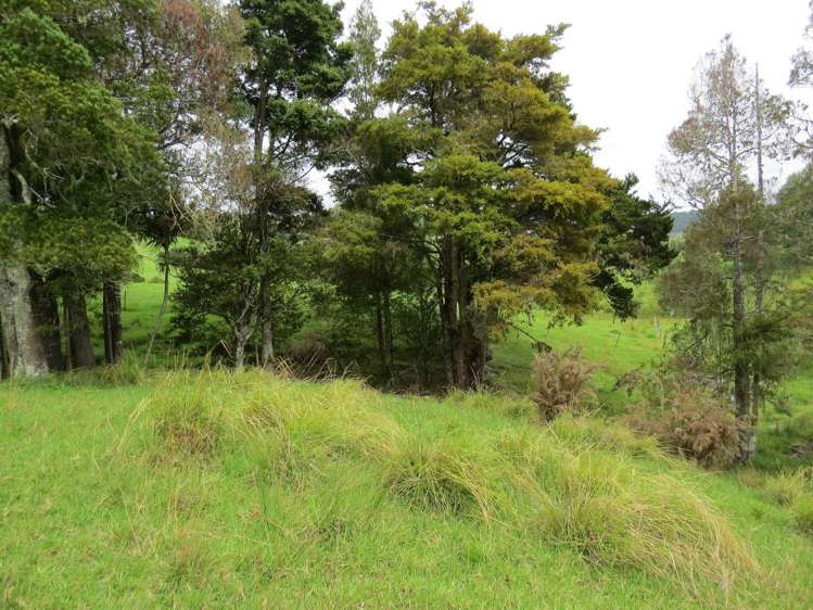 Lot 4 Taylor Road Taipa_7