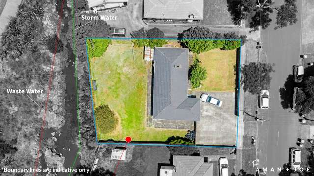 171 Hendon Avenue Mount Albert_2