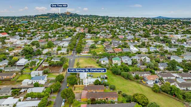 1/43 Spring Street Onehunga_2