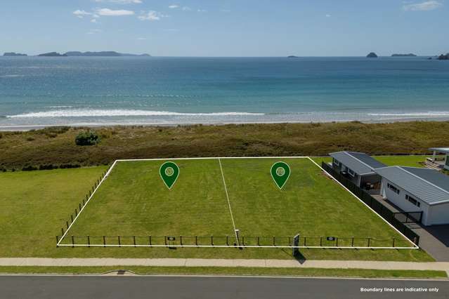 Your Waterfront Paradise - Opito Bay, Coromandel