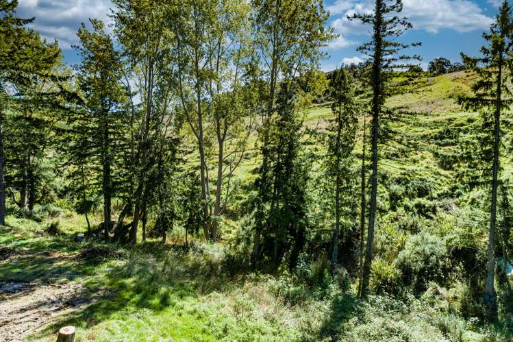 163 Mill Road Oxford_11