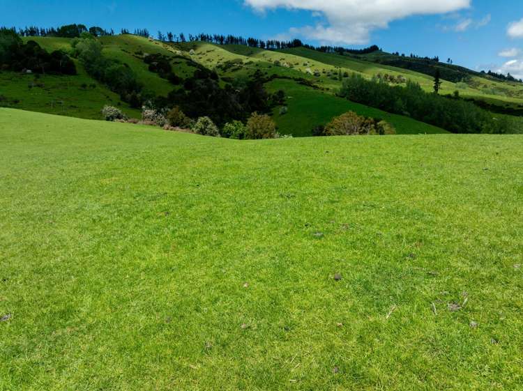 281 Tadmor Valley Road Tapawera_37