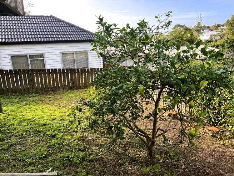 537a Glenfield Road Glenfield_15