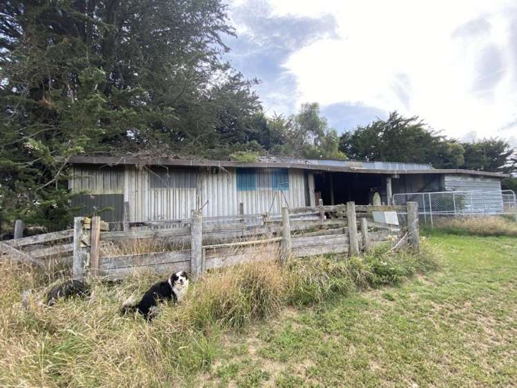 110 Revells Road Flaxton_19