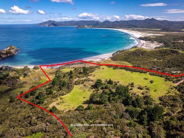 Lot 2, 346 Gray Road Great Barrier Island_3