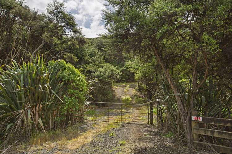 1615 Whaanga Road Raglan_25