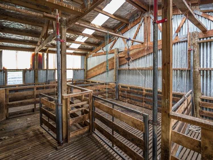 230 Taruna Road Hawarden_8