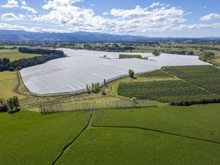 78 Gregs Lane, RD 1 Greytown_26