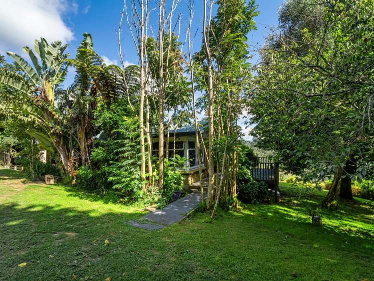 210 Wainui South Road Whakamarama_12
