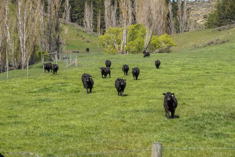 512 Karaka Road Waikari_14