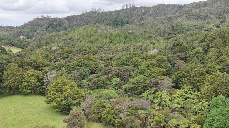 Lot 3/286 Mangakaretu Road Waipapa_11
