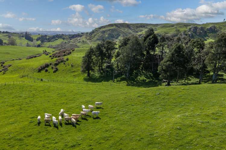 1698 Hetherington Road Huntly_32