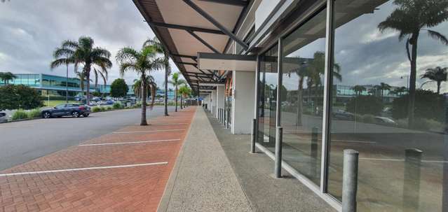 Unit I, 7 Triton Drive Rosedale_2