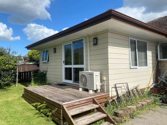 21 Sunnyside Crescent Papatoetoe_1