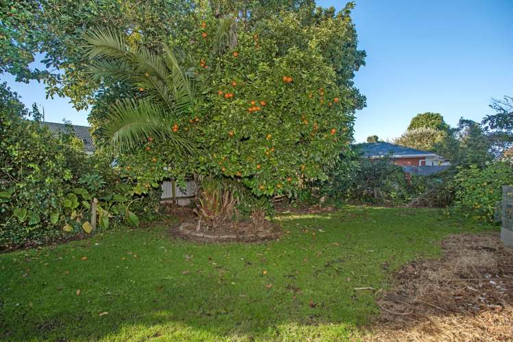 2 Abbott Street Te Hapara_13