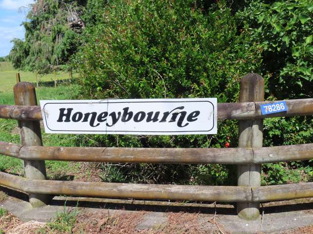 78286 State Highway II Dannevirke_2