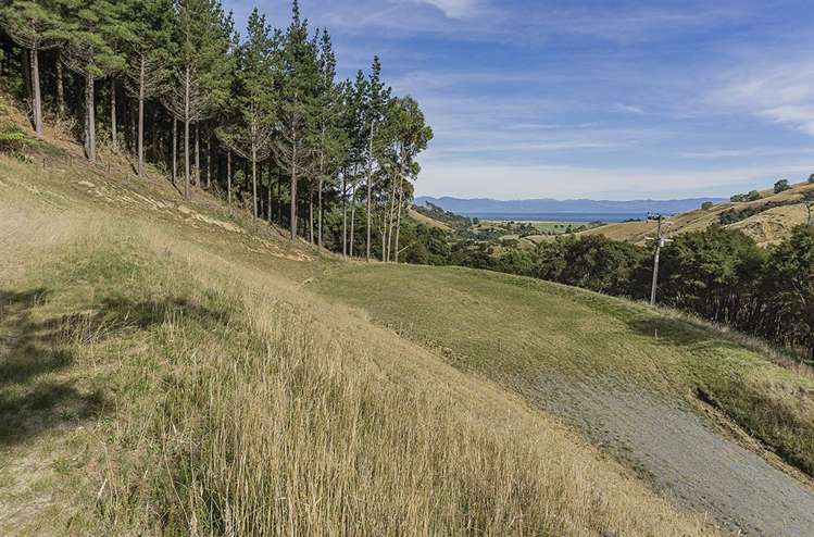 584 Wakapuaka Road Wakapuaka_12