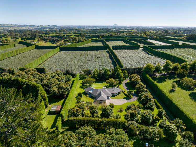 526d Belk Road Omanawa_31