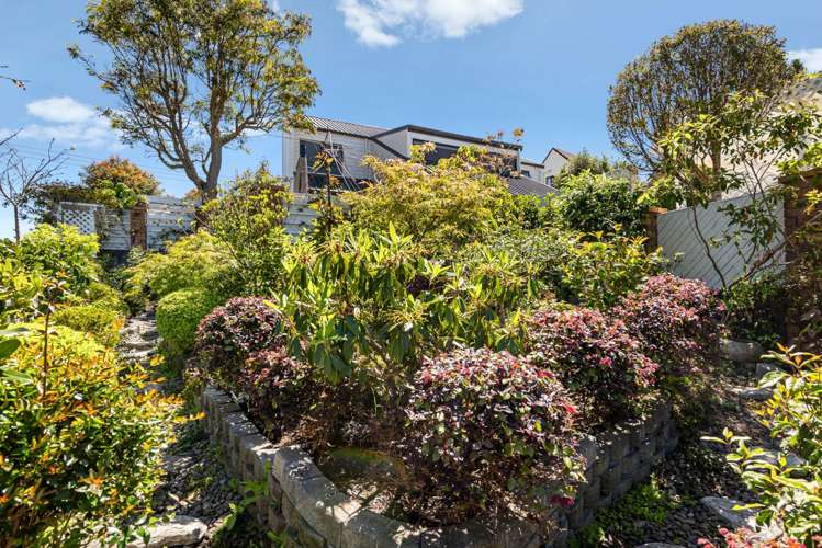 17 Harper Street Chatswood_38