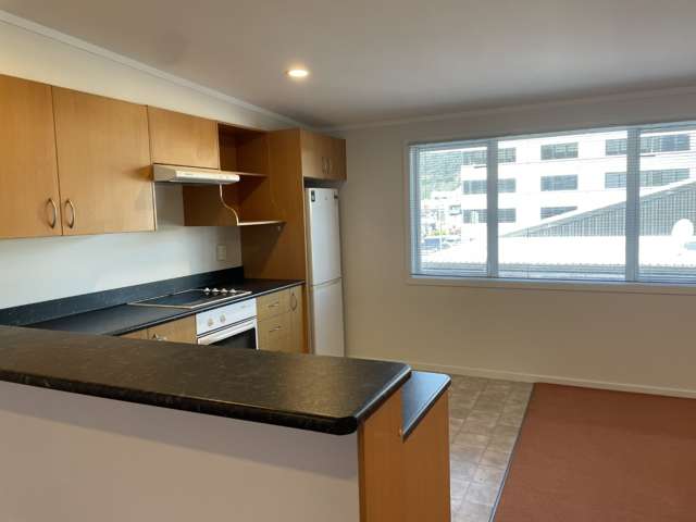 17/3 Kelvin Grove Te Aro_3