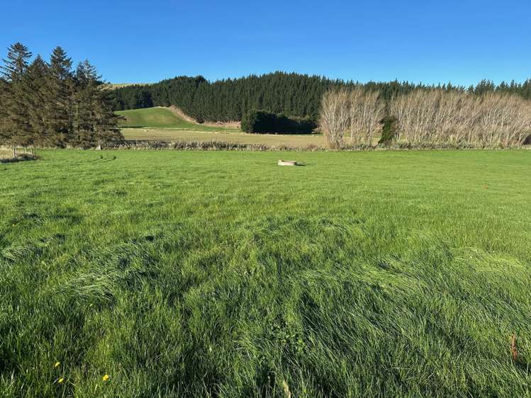 114 Bull Creek Road Glenledi_6