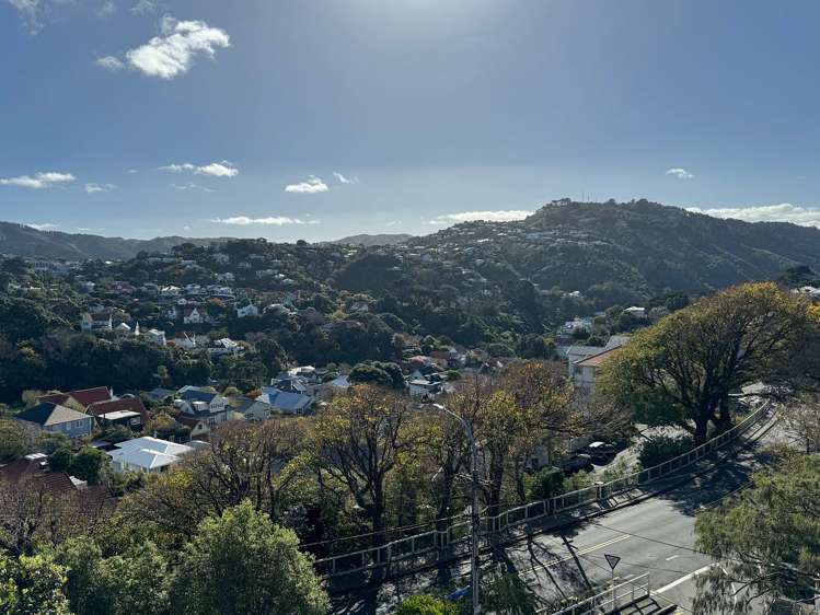 2/5 Grove Road Kelburn_8