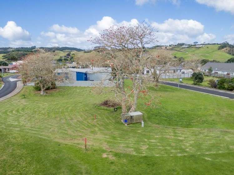 16 Flame Tree Lane Taipa_4