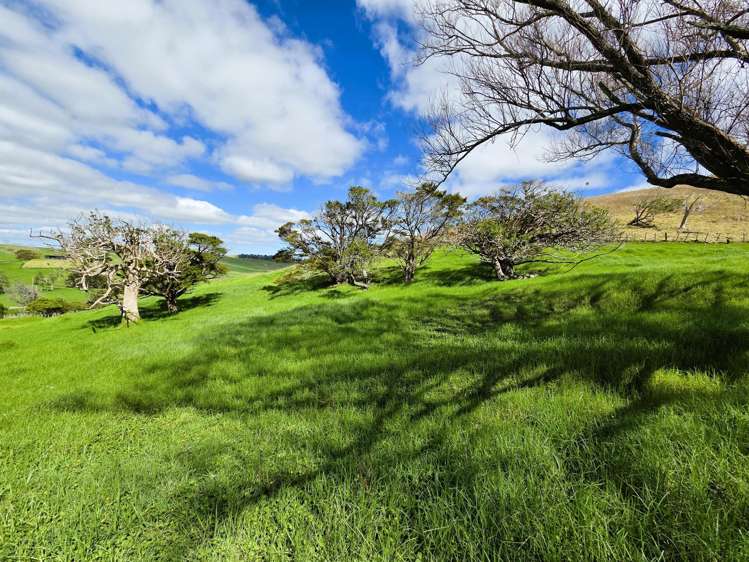 Morrison Road Dargaville_6