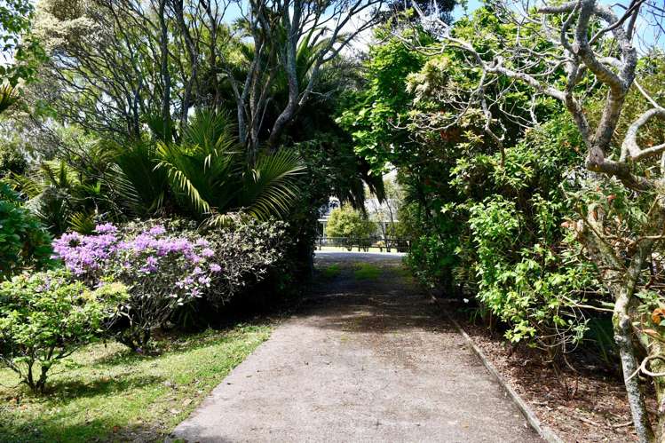 99 Oparara Road Karamea_24