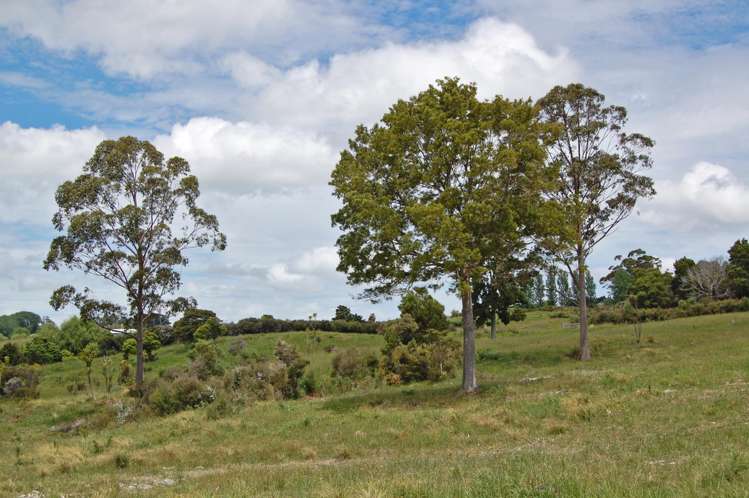 138 Rangiora Road Kaiwaka_5