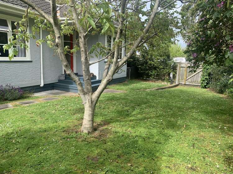 112 Marne Street 2138_10