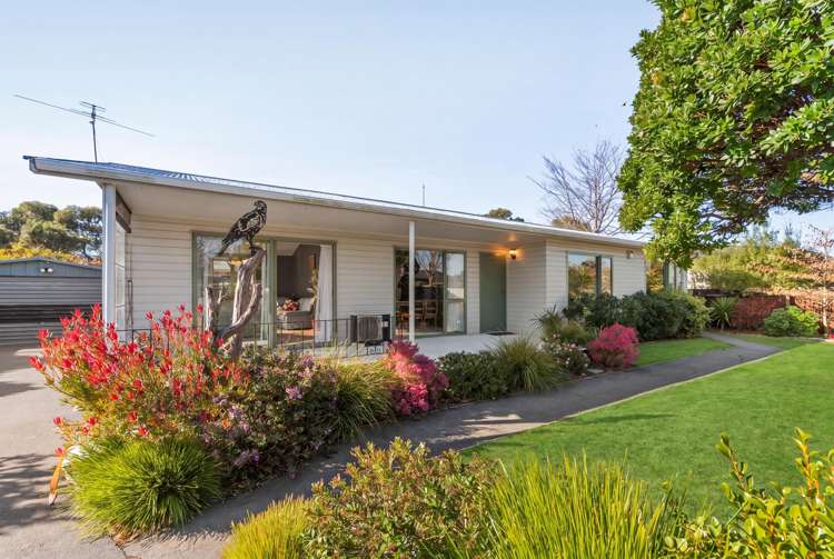 48 Orrick Crescent Avondale_4
