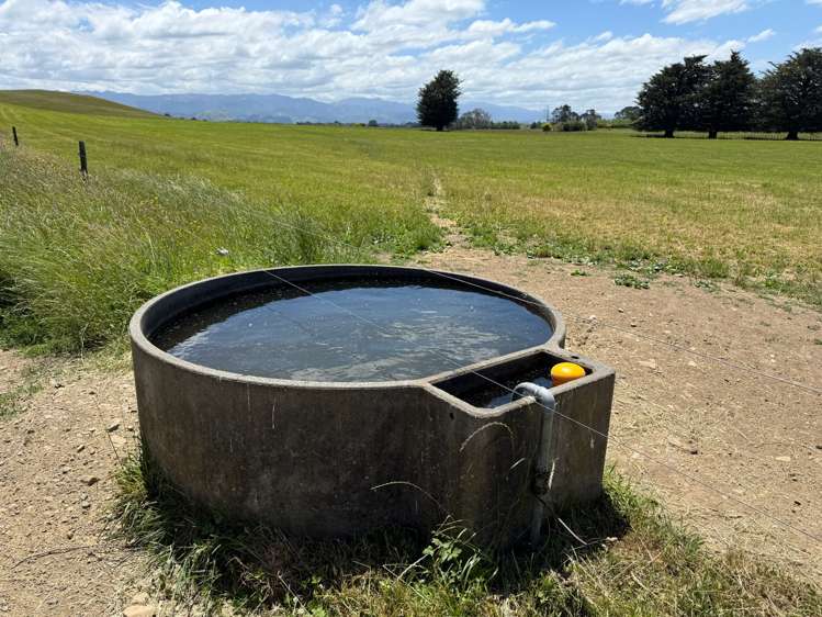 83 Norsewood Ormondville Road Norsewood_13