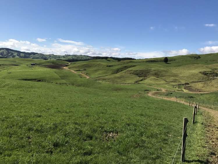 1232 Ngaroma Road Wharepuhunga_10