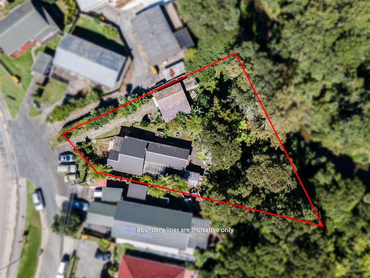 36 Don Buck Road Massey_19