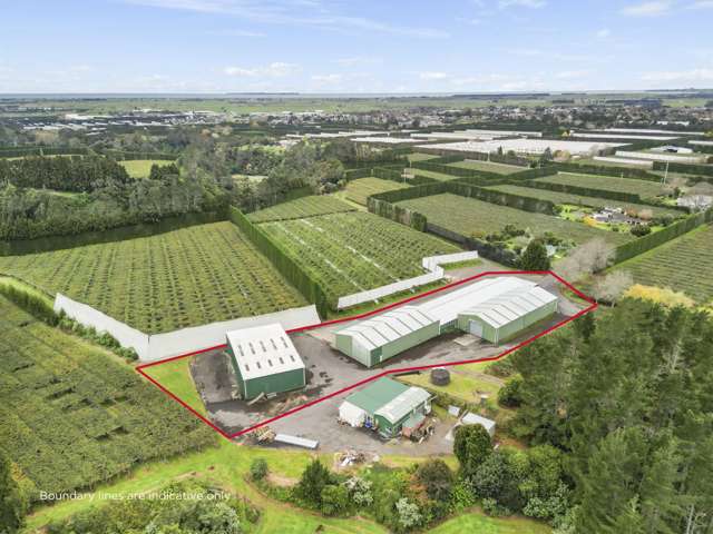 Large scale warehousing in kiwifruit capital
