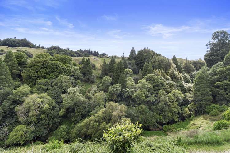 645 State Highway 30 Te Kuiti_25