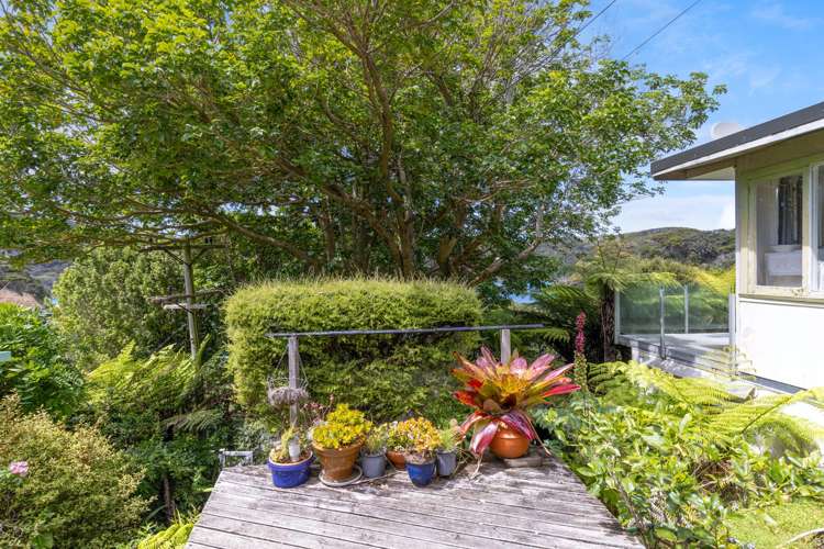 - Lot 101 DP 4961, North Cove Kawau Island_17